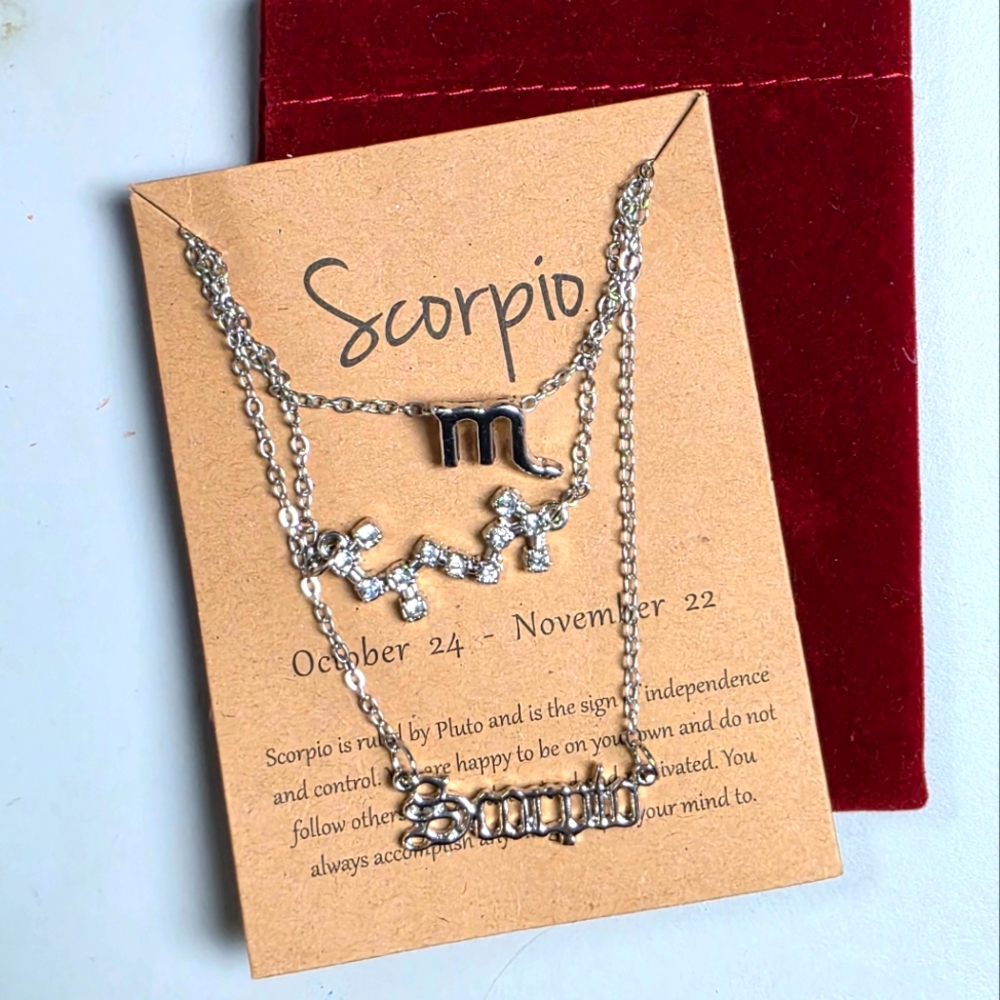 Scorpio Zodiac Silver Necklace